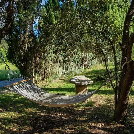 S'hort De Sa Bagura Farm stay *